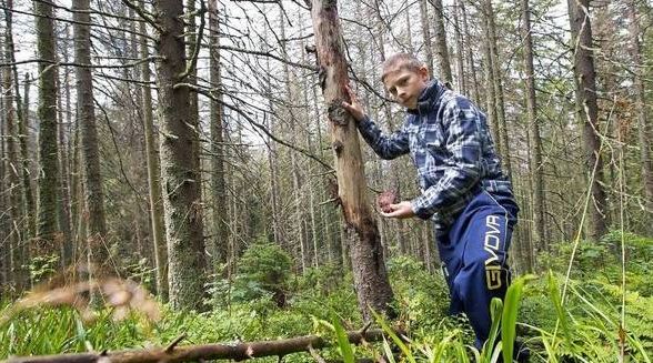 Un jeune slovaque sauve des arbres